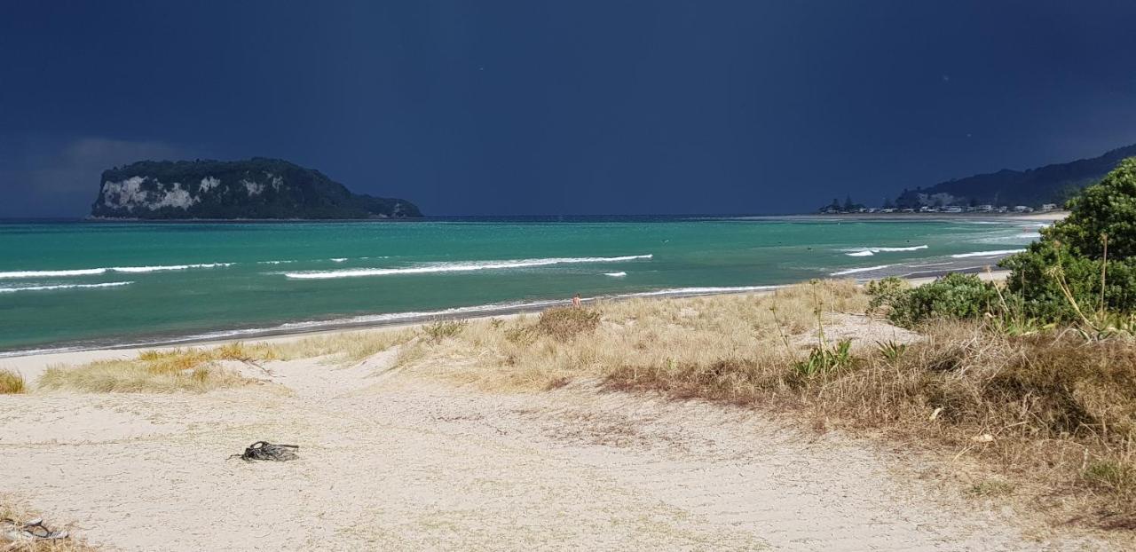 Heron'S Nest Whangamata Exteriör bild